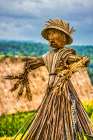 Jatiluwih Rice Terrace is a UNESCO Site, located in the Tabanan Regency of Bali, Indonesia. Art Print